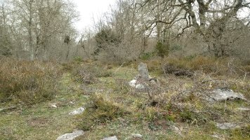 Garagartza gaina (873m)