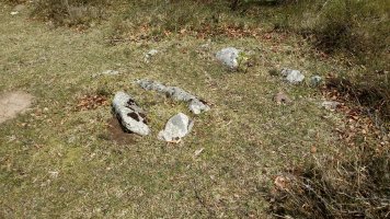 Lejazar Gaina trikuharria (2018)