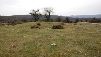 Lejazar Hegoa trikuharria (2018)