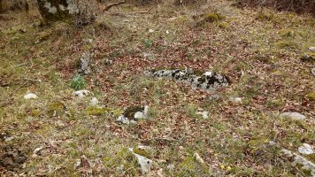 Las Esperas trikuharria 2