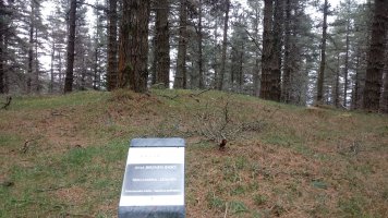 Ama Birjiñen Baso trikuharria (2018)