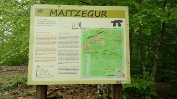 Maitzegur trikuharria, panela