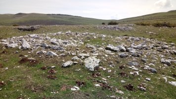 Peñablanca trikuharria 4