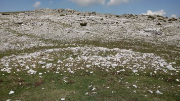 Peñablanca trikuharria 3