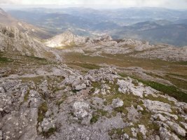 Aratz, ekialdeko zelaia