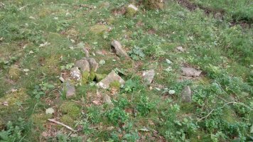 Aizaleku II trikuharria 3