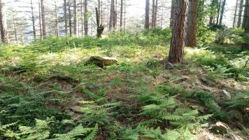 Maribidaurre trikuharria 4