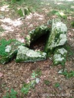 Arregi trikuharria 4