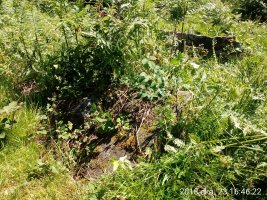 Asundegi triikuharria 3