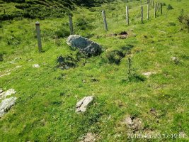 Sorogain trikuharria (2018)