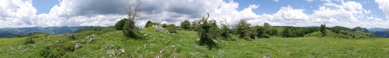 Akordategaña tontorra