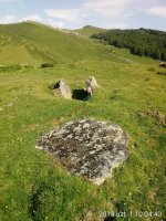 Azpegi III H. trikuharria (2018)