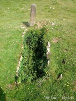 Organbide trikuharria (2018)