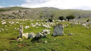 Uelogoena I Ip. trikuharria 4