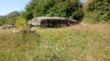 Arrako trikuharria 6