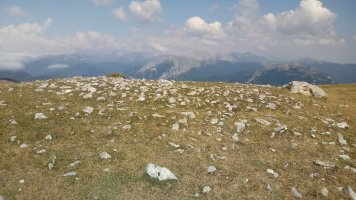 Largintia-Kakueta trikuharria 3