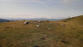 Largintia-Kakueta trikuharria (2018)