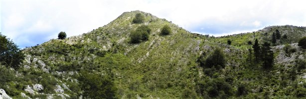 Gantzorrotz