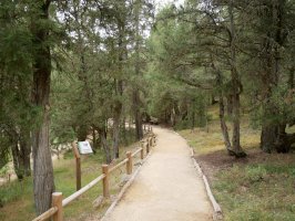 La Fuentonara iristen