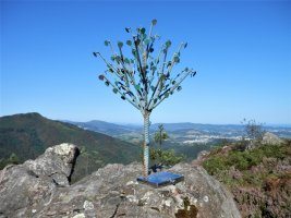 Buzoia