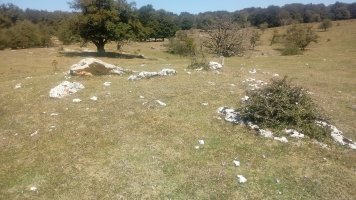 Larreaundi trikuharria 3