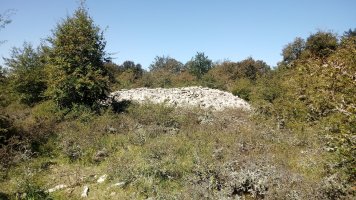 Armorkora Haundi  trikuharria 5