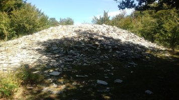 Arteko Saroa trikuharria 9