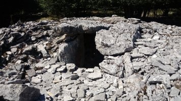 Arteko Saroa trikuharria 3