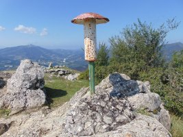 Buzoia