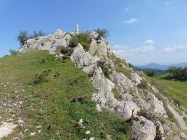Tontorra
