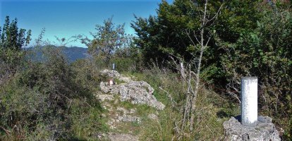 Tontorra