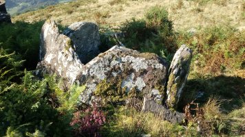 Baikuntzeko Etxola trikuharria 3