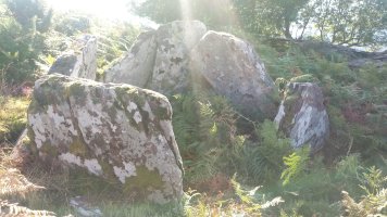 Baikuntzeko Etxola trikuharria 2