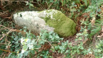 Epeintzako Kaskua trikuharria 3