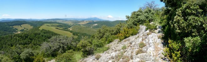 Amalazokiko gailur harritsua