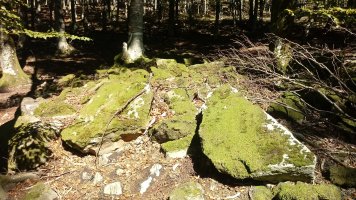 Aginaran Txulo trikuharria 2