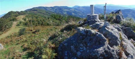 Tontorra