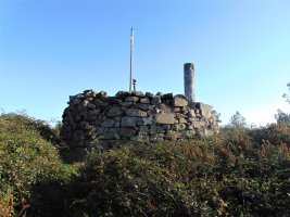 Tontorra