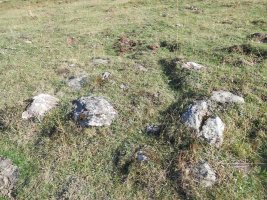 campo largo sur