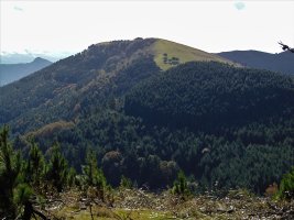 Pico Mayorretik