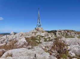 Tontorra