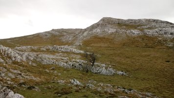 Aratz Zelaia