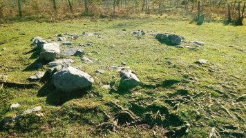 Zaingo Ordeka trikuharria 4