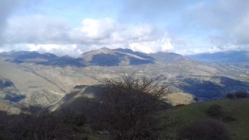 Arbailak