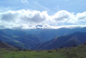 Xardekagaina, Otsogorrigaina, gandorratik