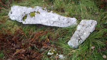 Urritza trikuharria 4