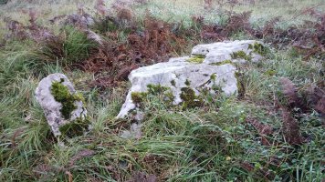 Urritza trikuharria 3