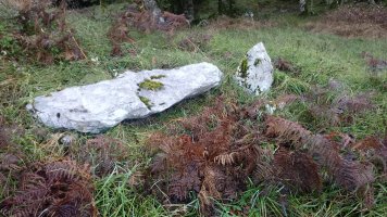 Urritza trikuharria 2