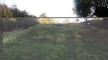 Larrondo trikuharria 2