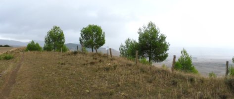 Bordalarre gaina